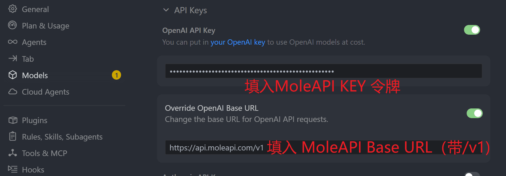 在 Cursor 中填写 MoleAPI 的 Base URL 和 API Key