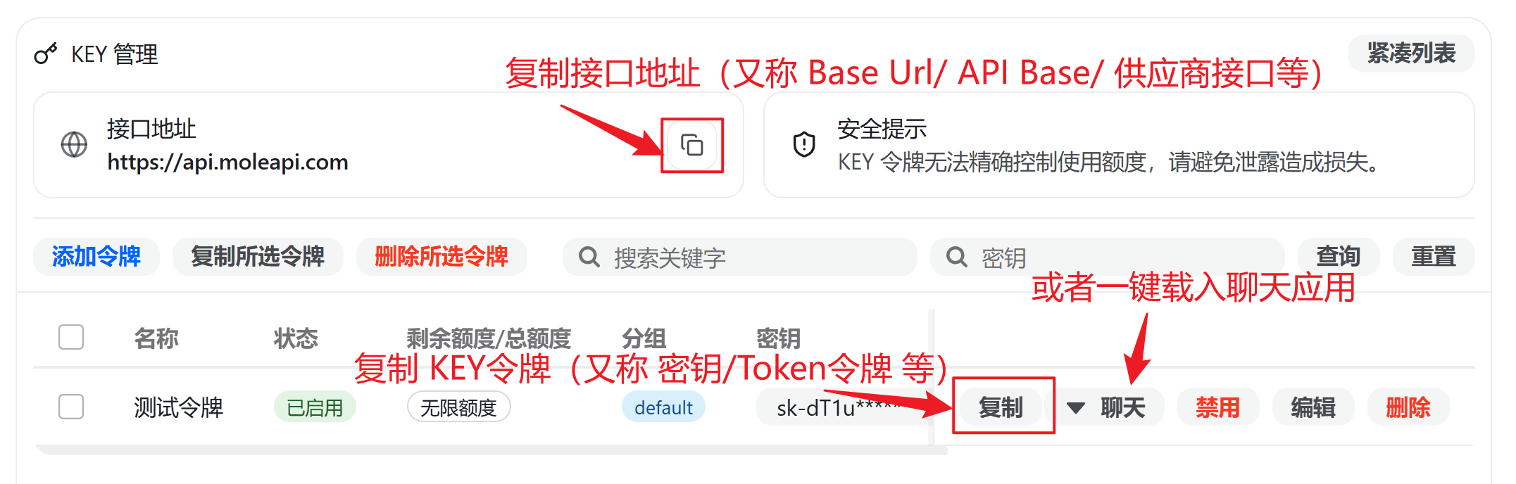 Sample interface showing where to enter Base URL and API Key in a third-party AI app