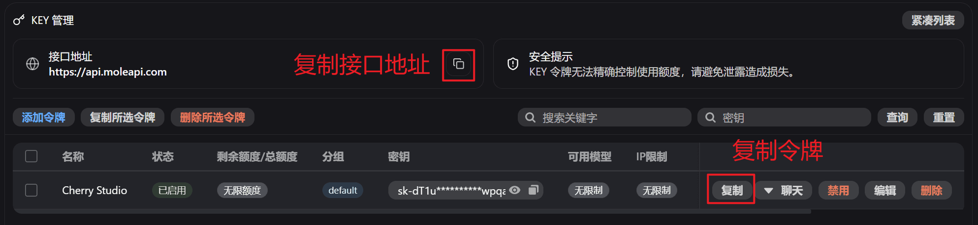 API Key をコピー