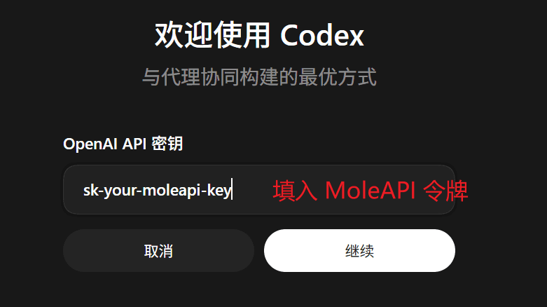 Edit and save the API Key in Codex