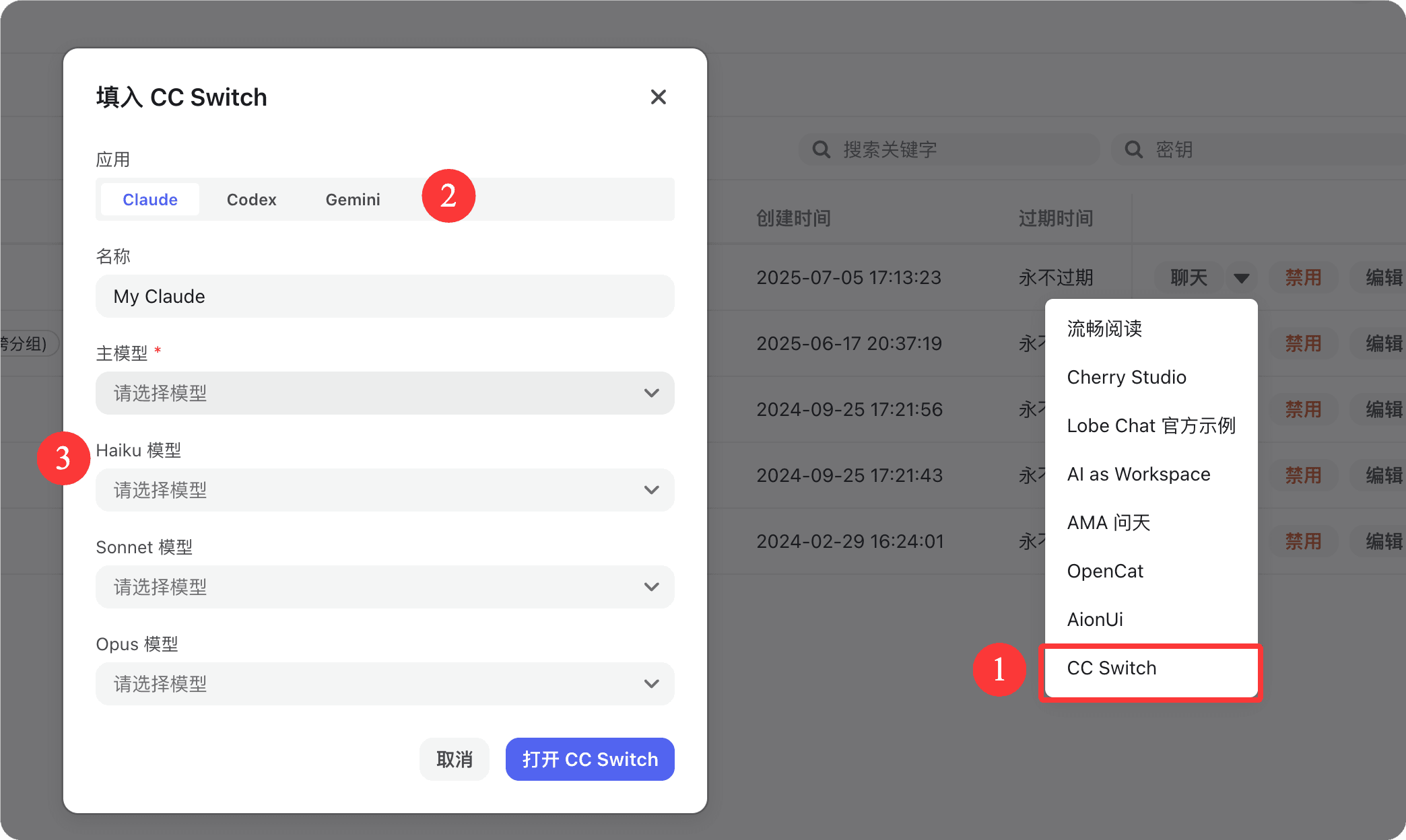 Fill in the CC Switch dialog