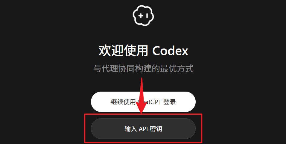 Select the API Key method and enter the key in Codex