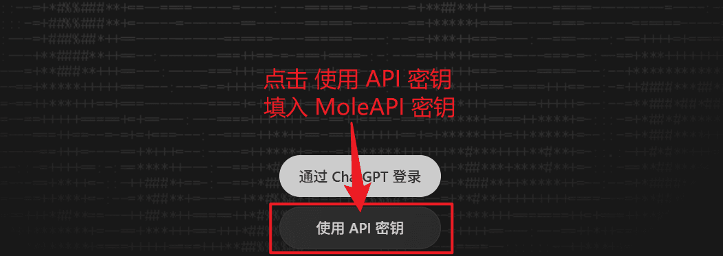 Codex 中选择 API Key 方式并填入密钥